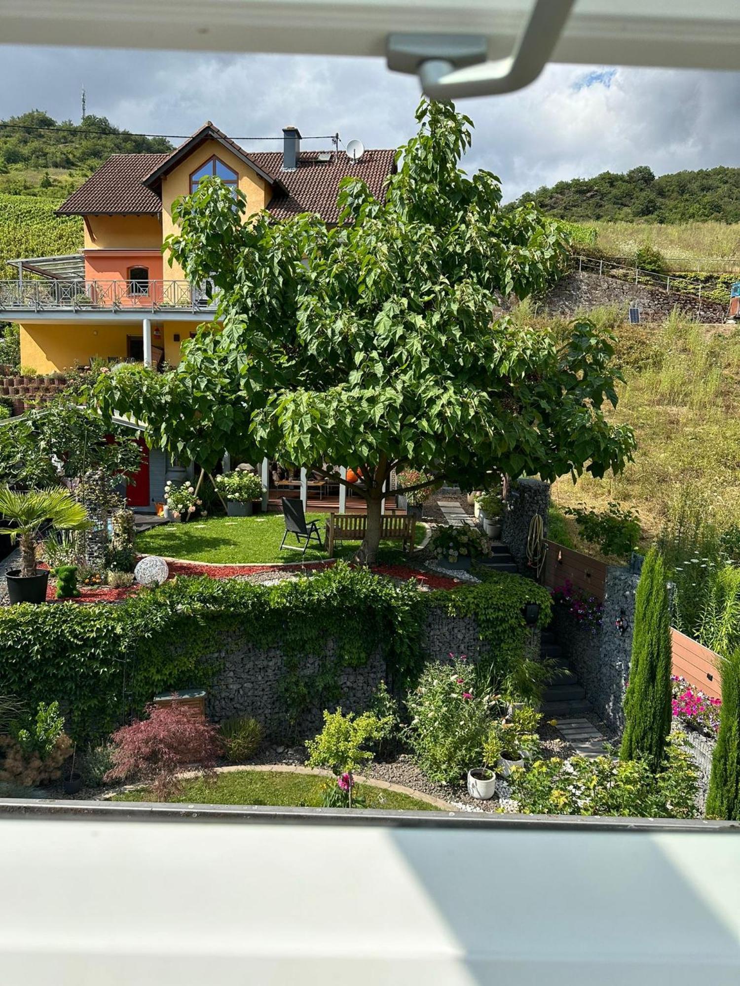 Ferienwohnung Anga Müden Екстериор снимка